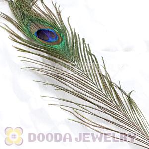 Real Natural Peacock Tail Eye Feather Hair Extension Wholesale