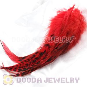 Natural Striped Red Strung Rooster Feather Hair Extension Wholesale