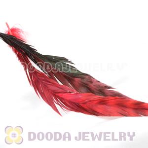 Natural Red Barred Plymouth Rock Rooster Feather Hair Extensions Wholesale
