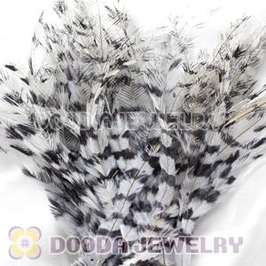 Thin Striped Grizzly Bird Feather Hair Extension Wholesale