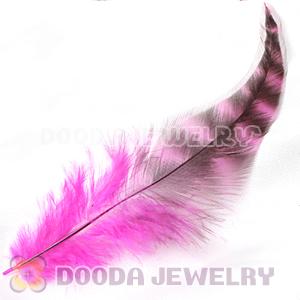 Natural Striped Magenta Grizzly Rooster Feather Hair Extensions Wholesale