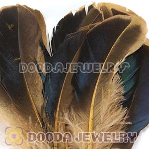 Natural Duck Grey Loose Feather Hair Extensions Wholesale