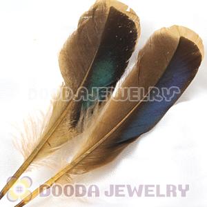 Natural Duck Grey Loose Feather Hair Extensions Wholesale