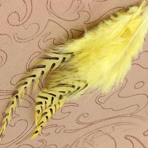 Natural Striped Yellow Grizzly Rooster Feather Hair Extensions Wholesale