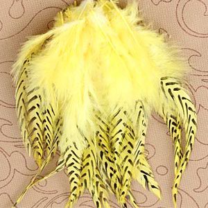 Natural Striped Yellow Grizzly Rooster Feather Hair Extensions Wholesale