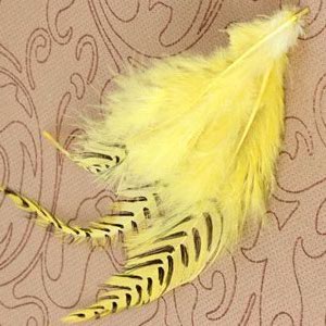 Natural Striped Yellow Grizzly Rooster Feather Hair Extensions Wholesale