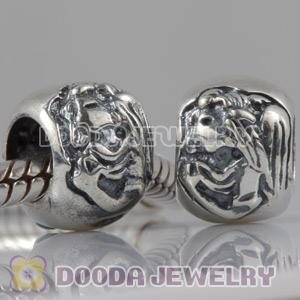 S925 Sterling Silver European Style Beads and Charms
