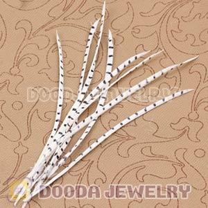 White Striped Goose Biots Loose Feather Hair Extensions Wholesale