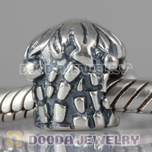 S925 Sterling Silver European Style Beads