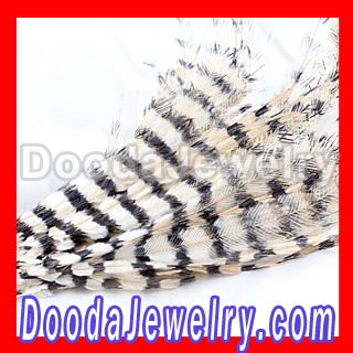 grizzly feather extensions for hair